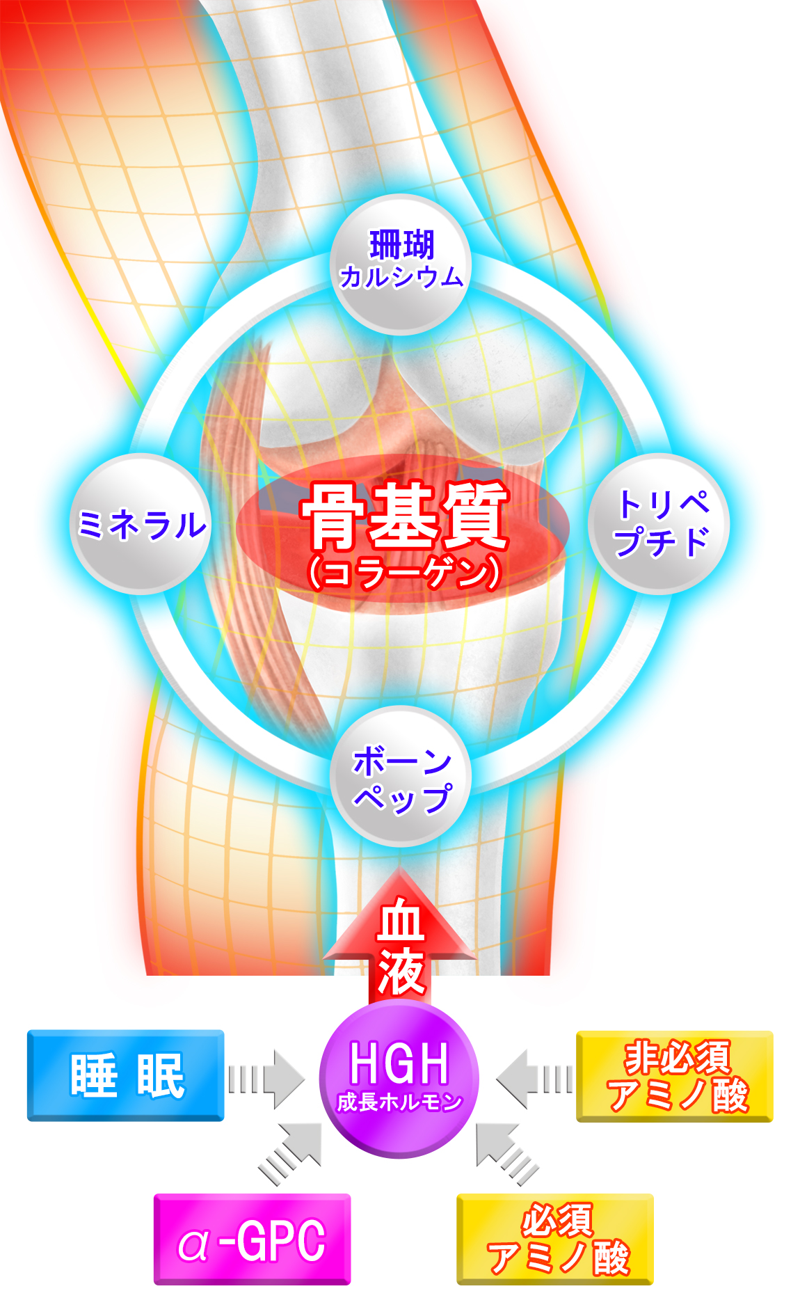 メカニズム
